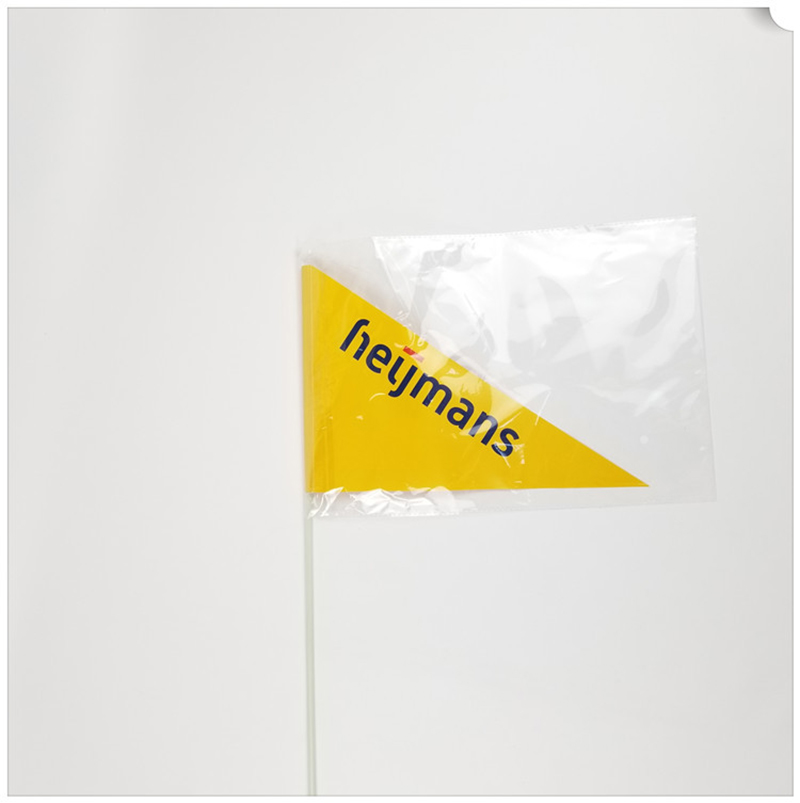 Personalized Bicycle Flags with Logo