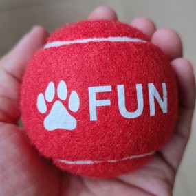 Pelotas de Tenis con Logo para Empresas | Personalizada...