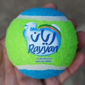Pelotas de Tenis Promocionales Personalizadas
