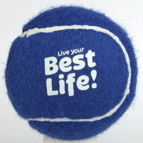 Fábrica de Pelotas de Tenis con Logo Personalizado