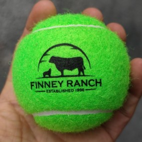 Pelotas de Tenis con Logo | Regalos Promocionales