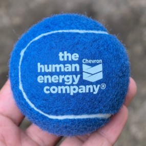Pelotas de Tenis con Logo para Publicidad Empresarial