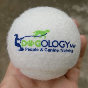 Pelotas de Tenis Personalizadas con Logo | Alta Calidad